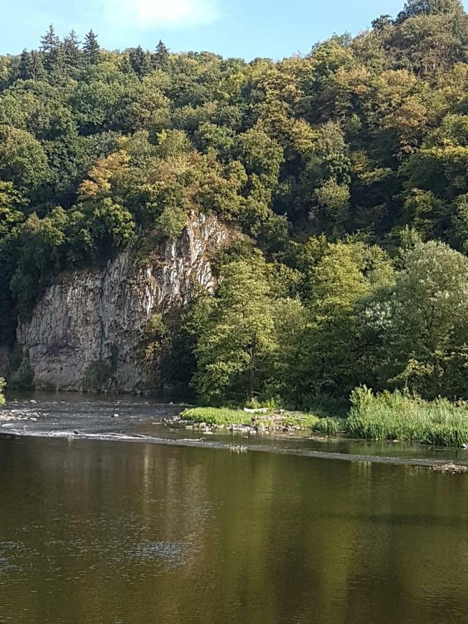 Ferienhaus Am Fluss. Baubiologisch Renoviert. Bad Kreuznach Exterior foto